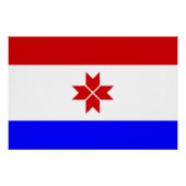 Mordovia Flag Perfect Poster (Voorkant)