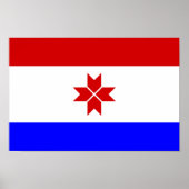 Mordovia Flag Poster (Voorkant)
