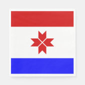 Mordovia Flag Servet (Voorkant)
