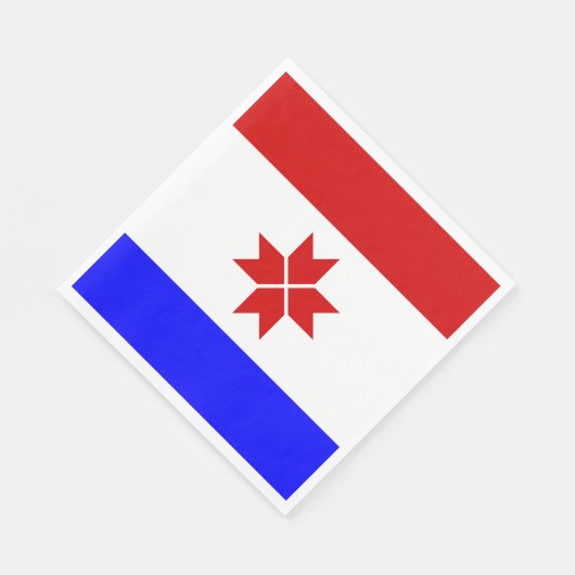Mordovia Flag Servet (Hoek)