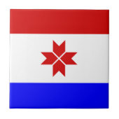 Mordovia Flag Tegeltje (Voorkant)
