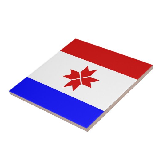 Mordovia Flag Tegeltje (Zijkant)