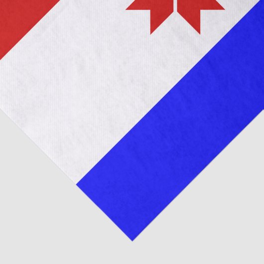 Mordovia Flag Tissuepapier (Detail)