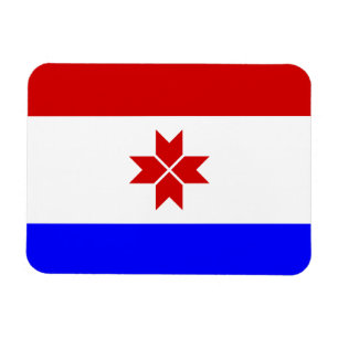 Mordoviaanse vlag magneet