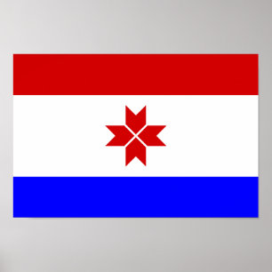Mordoviaanse vlag poster