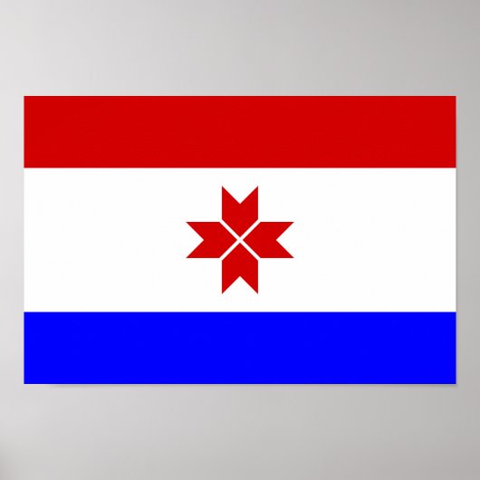 Mordoviaanse vlag poster (Voorkant)