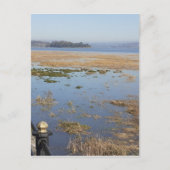 Morecambe Bay High Tide Briefkaart (Voorkant)