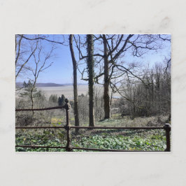 Morecambe Bay Uitzicht Briefkaart