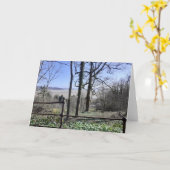 Morecambe Bay Uitzicht Kaart (Gele Bloem)