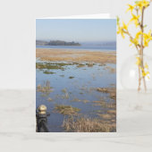 Morecambe Bay - Wenskaart voor hoge televisie Kaart (Gele Bloem)