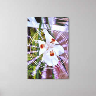 moreia branca canvas afdruk