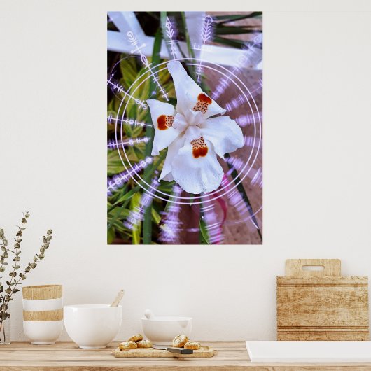 moreia branca poster (Keuken)