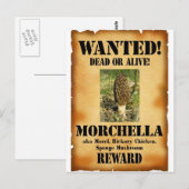 Morel - Gezocht Poster Briefkaart (Voorkant / Achterkant)