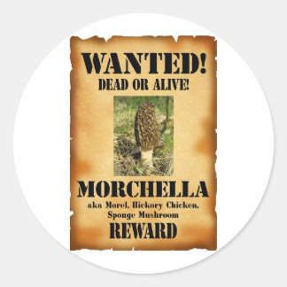 Morel - Gezocht Poster Ronde Sticker