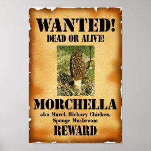 Morel - Gezochte Dood of Alive Poster