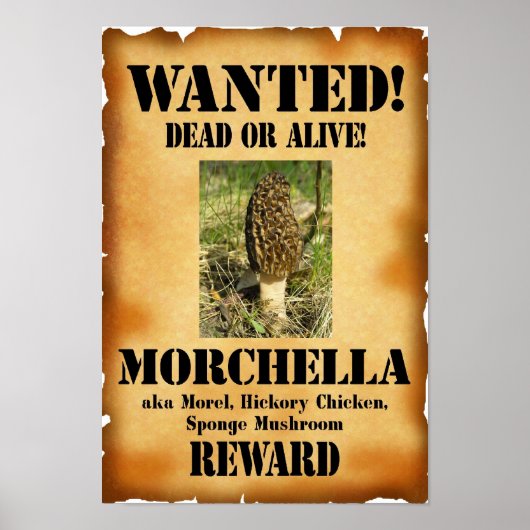 Morel - Gezochte Dood of Alive Poster (Voorkant)