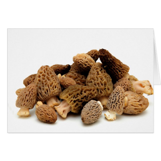 Morel Mushroom (Voorkant Horizontaal)