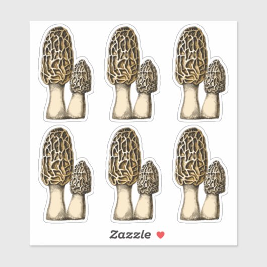 Morel Mushroom Botanische illustratie Sticker (Vel)