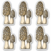 Morel Mushroom Botanische illustratie Sticker (Voorkant)