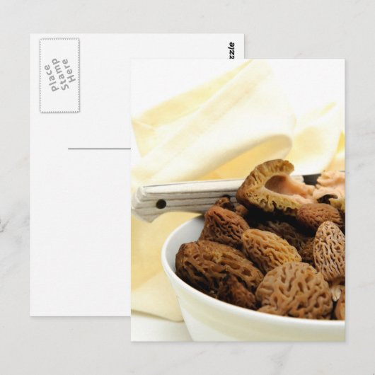 Morel Mushroom Briefkaart (Voorkant / Achterkant)