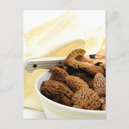 Morel Mushroom Briefkaart (Voorkant)