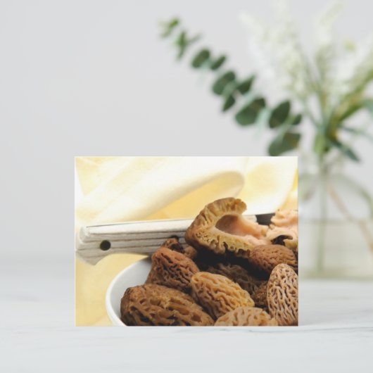 Morel Mushroom Briefkaart (Staand voorkant)