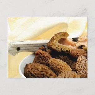 Morel Mushroom Briefkaart
