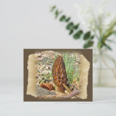Morel Mushroom Briefkaart (Staand voorkant)