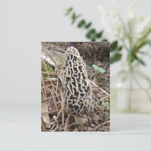 Morel Mushroom briefkaart (Staand voorkant)