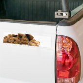 Morel Mushroom Bumpersticker (Op Truck)