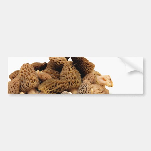 Morel Mushroom Bumpersticker (Voorkant)