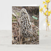 Morel Mushroom Kaart (Gele Bloem)