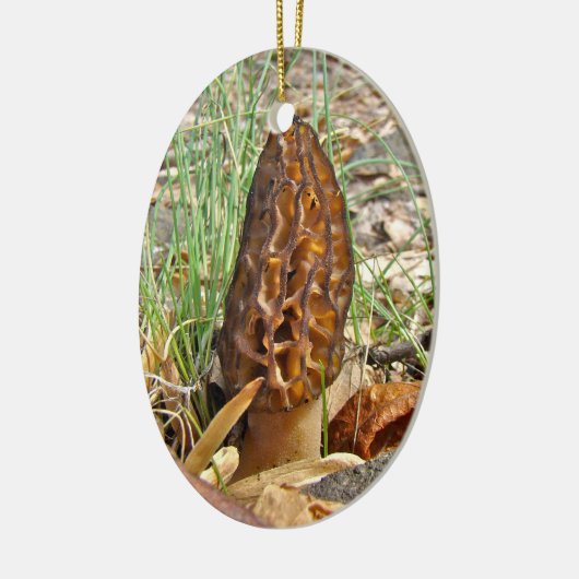 Morel Mushroom Keramisch Ornament (Links)
