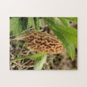 Morel Mushroom Legpuzzel (Horizontaal)