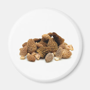 Morel Mushroom Magneet