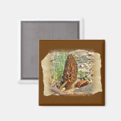 Morel Mushroom Magneet (Voorkant / Achterkant)