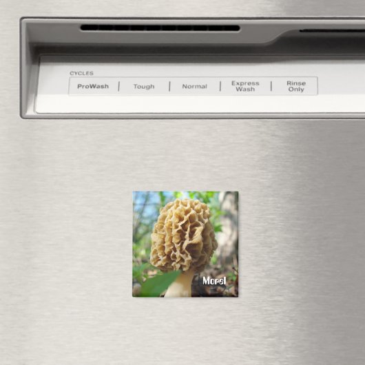 Morel Mushroom Magnet (Insitu (Vaatwasser))