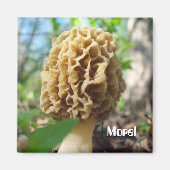 Morel Mushroom Magnet (Voorkant)