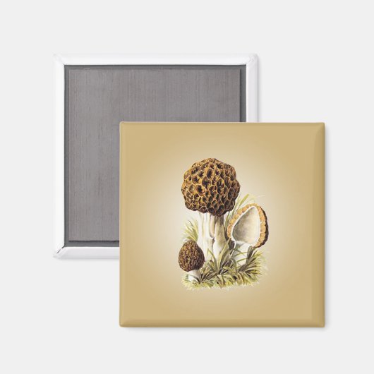 Morel Mushroom Magnet (Voorkant / Achterkant)