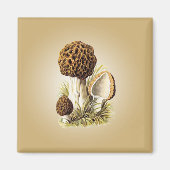 Morel Mushroom Magnet (Voorkant)