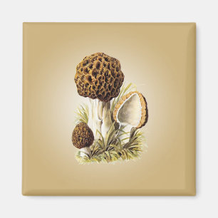 Morel Mushroom Magnet