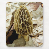 Morel Mushroom Muismat (Voorkant)