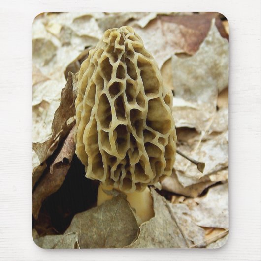 Morel Mushroom Muismat (Voorkant)