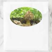 Morel Mushroom - "Ondergedoken" Sticker (Tas)