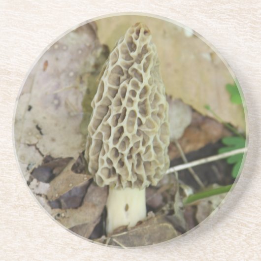 Morel Mushroom Onderzetter (Voorkant)