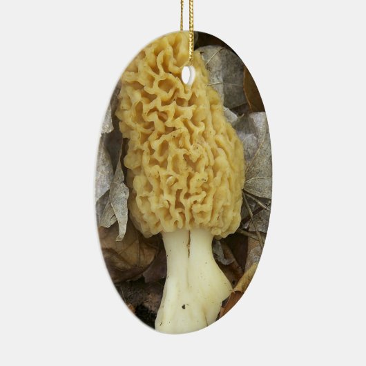 Morel Mushroom Ornament (Rechts)