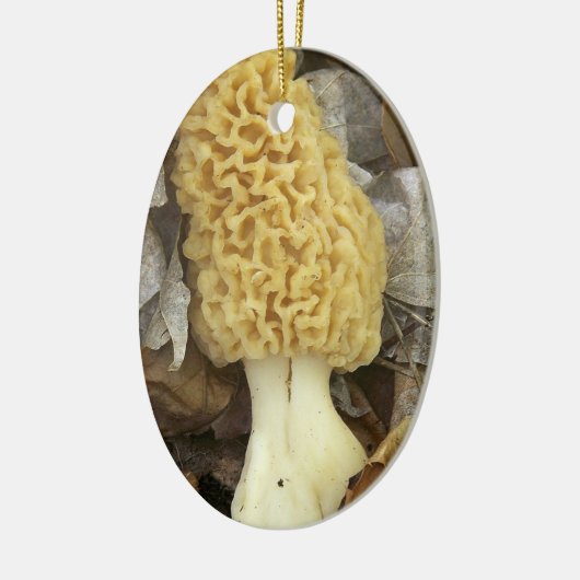 Morel Mushroom Ornament (Links)