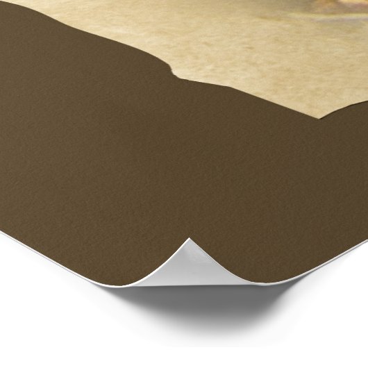 Morel Mushroom Poster (Hoek)