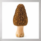 Morel Mushroom Poster (Voorkant)