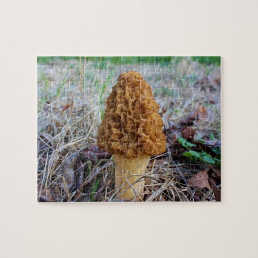 MOREL MUSHROOM Puzzle Legpuzzel (Horizontaal)